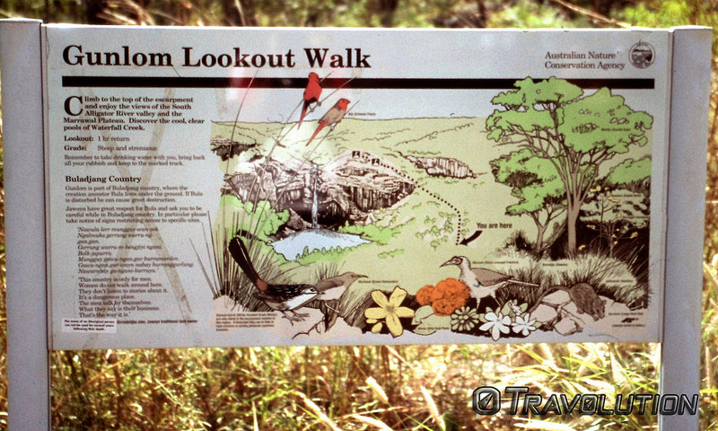 カカドゥ国立公園の画像25