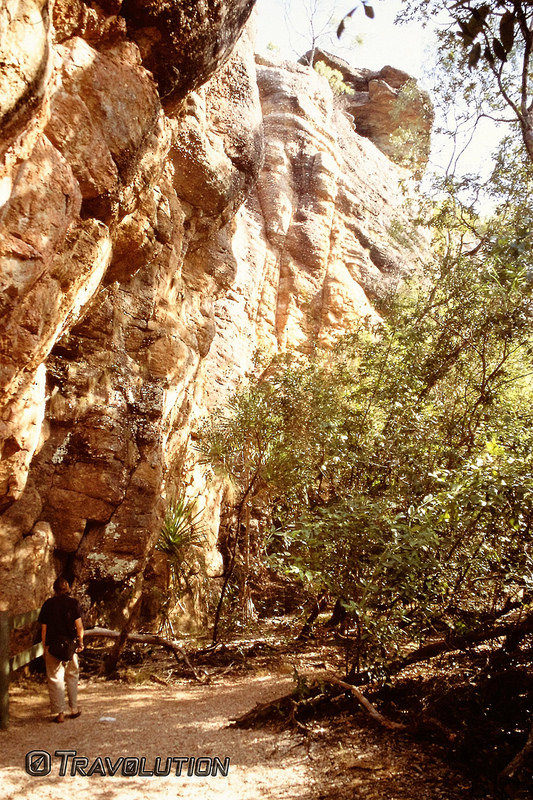 カカドゥ国立公園の画像29