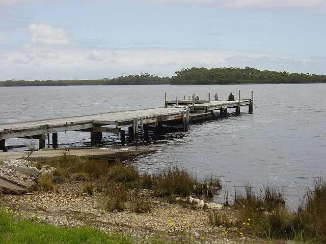 タスマニア原生地域の画像14