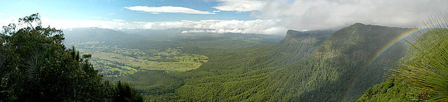 オーストラリアのゴンドワナ雨林の画像13