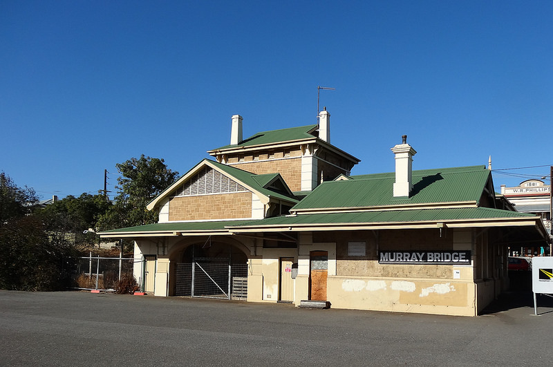 オーストラリアのゴンドワナ雨林の画像19