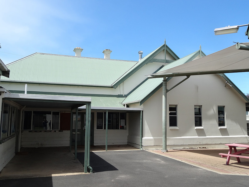 オーストラリアのゴンドワナ雨林の画像20