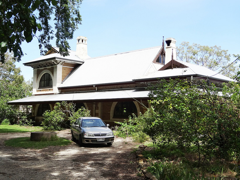 オーストラリアのゴンドワナ雨林の画像21