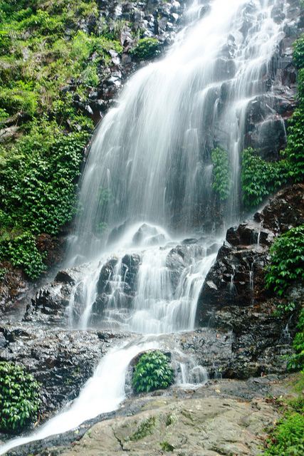 ドリゴ国立公園の画像9