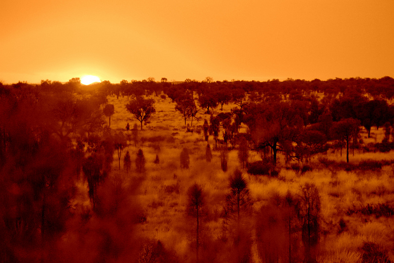 ウルル-カタ・ジュタ国立公園の画像4