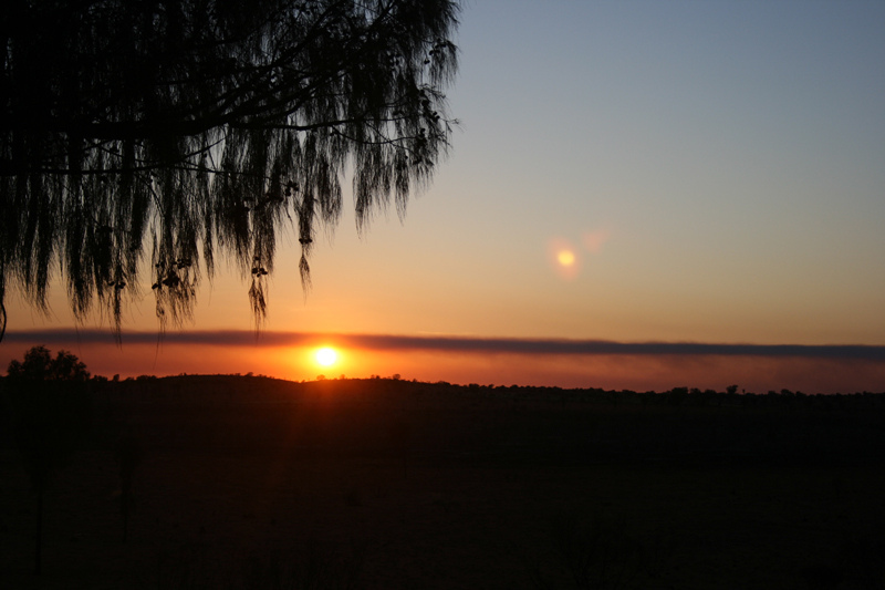 ウルル-カタ・ジュタ国立公園の画像8