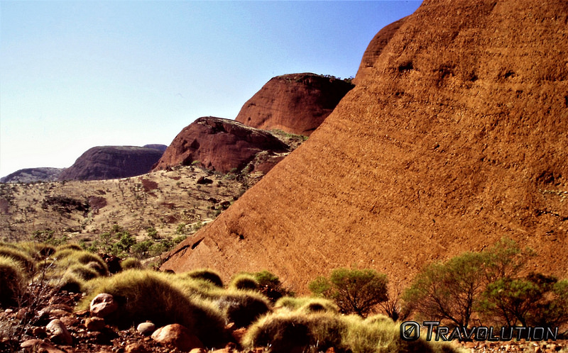 ウルル-カタ・ジュタ国立公園の画像11