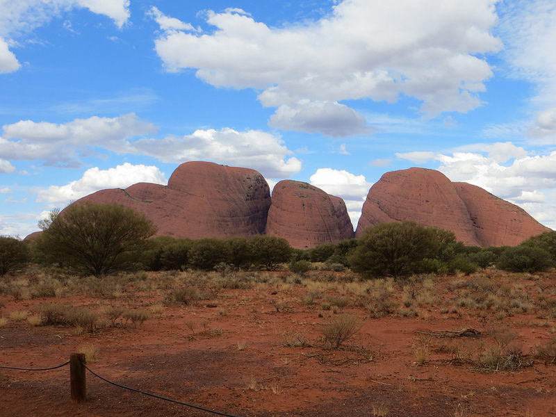 ウルル-カタ・ジュタ国立公園の画像14
