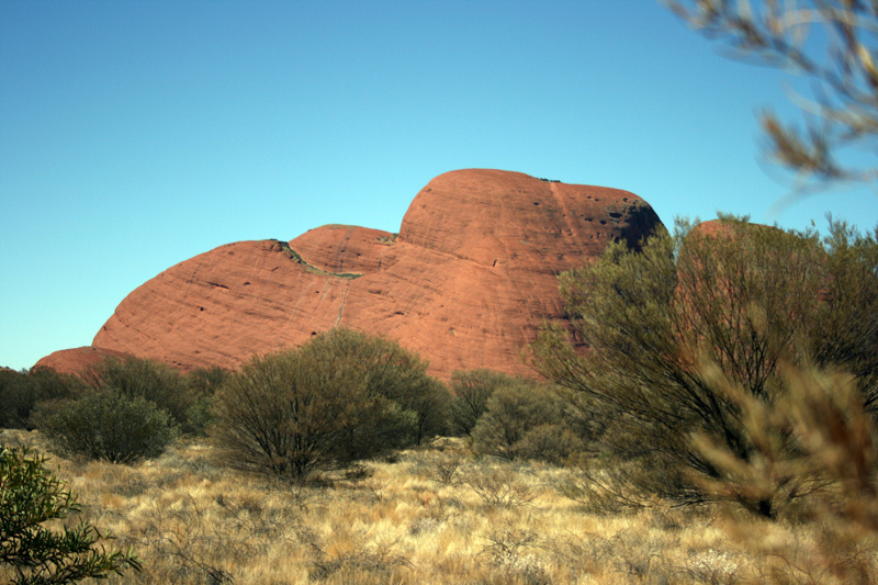 ウルル-カタ・ジュタ国立公園の画像20