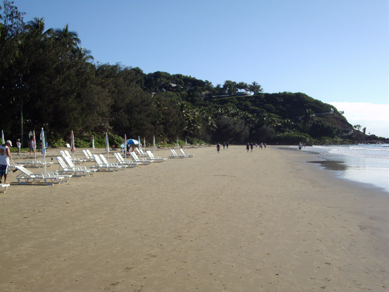 クインズランドの湿潤熱帯地域の画像3