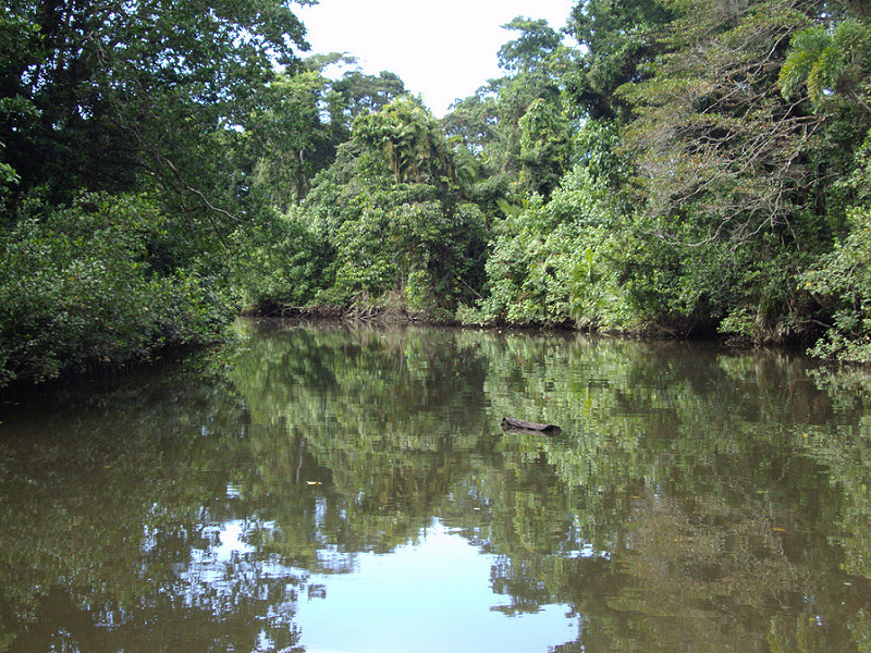 クインズランドの湿潤熱帯地域の画像5