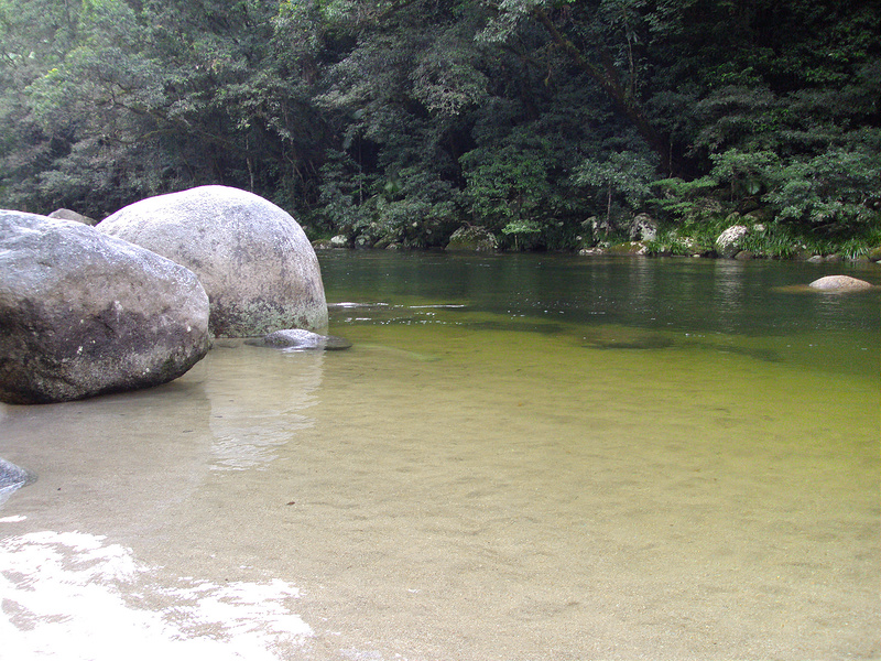 クインズランドの湿潤熱帯地域の画像15