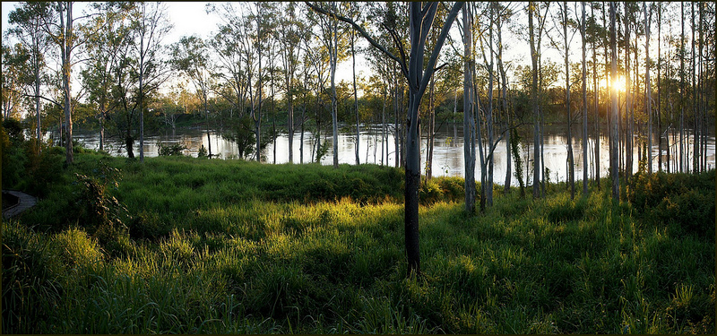 クインズランドの湿潤熱帯地域の画像19