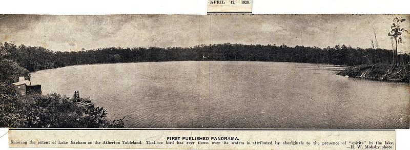 クインズランドの湿潤熱帯地域の画像20