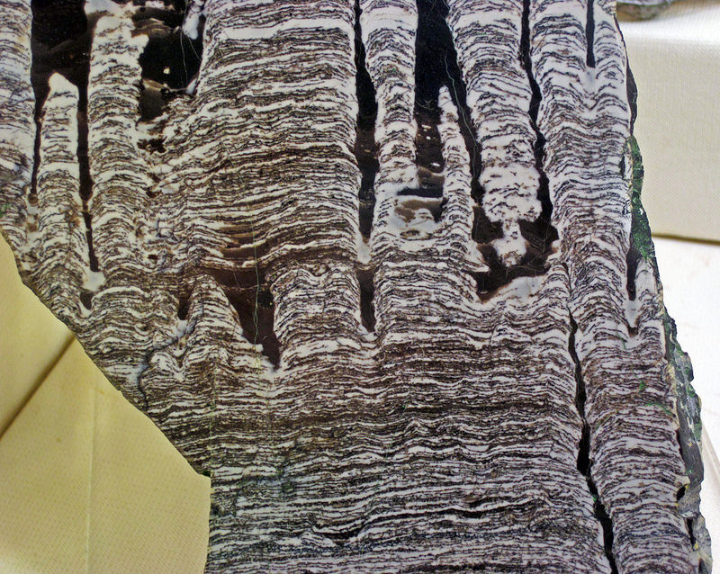 西オーストラリアのシャーク湾の画像11