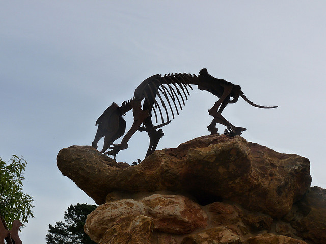 オーストラリアの哺乳類化石地域（リヴァーズレー／ナラコーアテ）の画像4