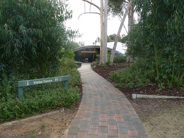 オーストラリアの哺乳類化石地域（リヴァーズレー／ナラコーアテ）の画像10