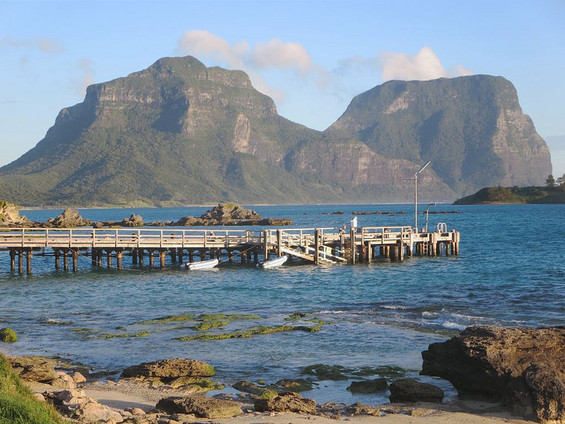 マッコーリー島の画像3