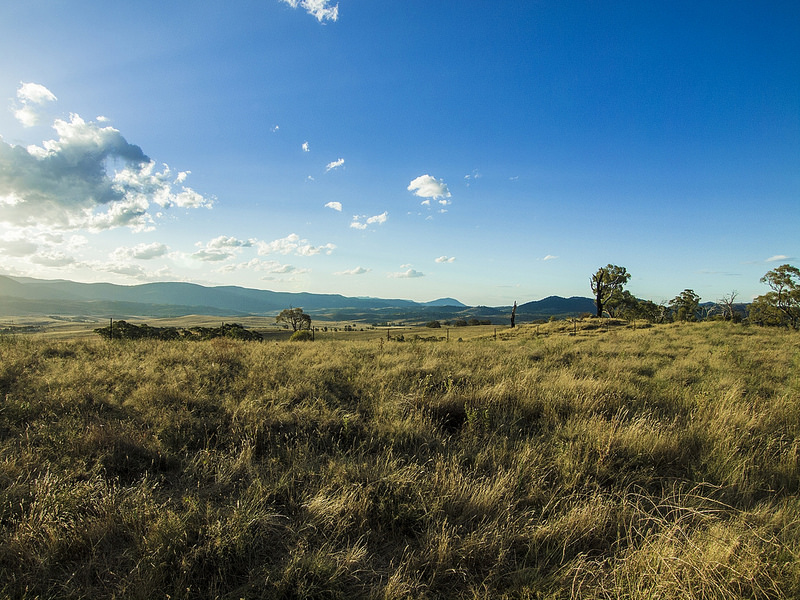 グレーター・ブルー・マウンテンズ地域の画像11