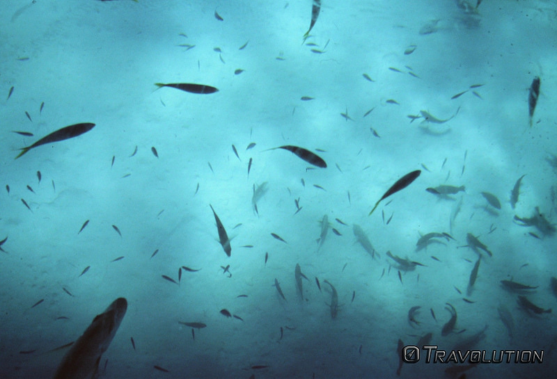 ニンガルー・コーストの画像3