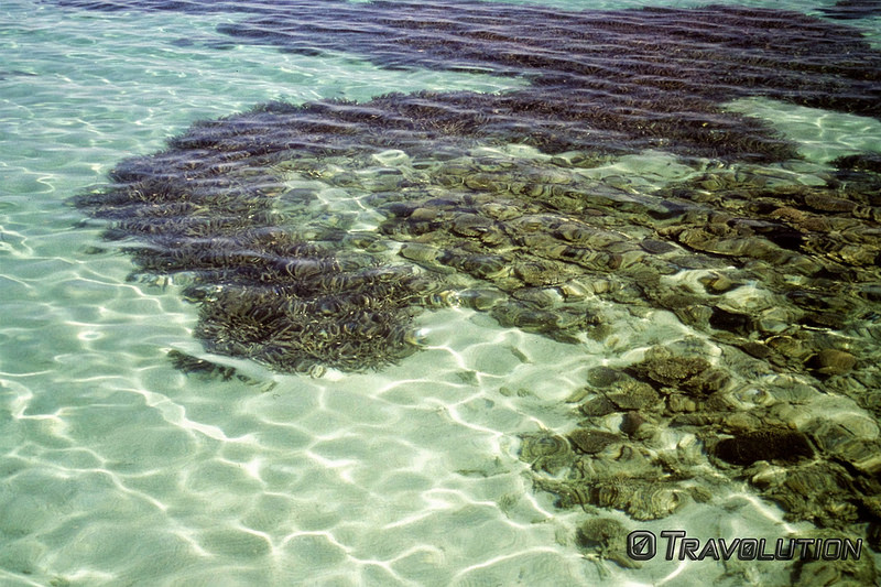 ニンガルー・コーストの画像5