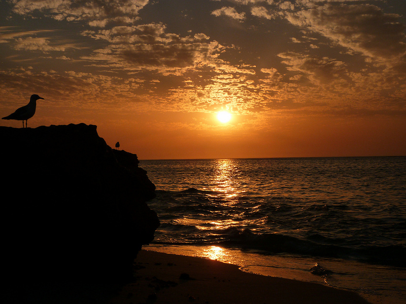 ニンガルー・コーストの画像13