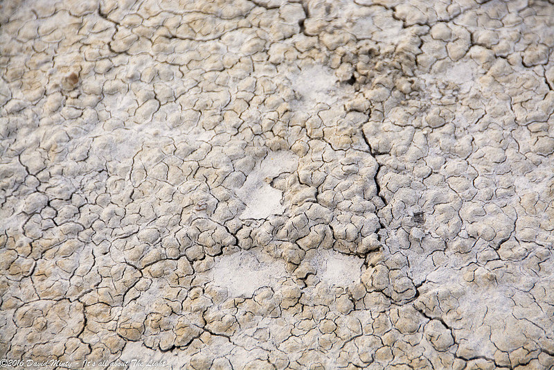 ダイナソール州立自然公園の画像5