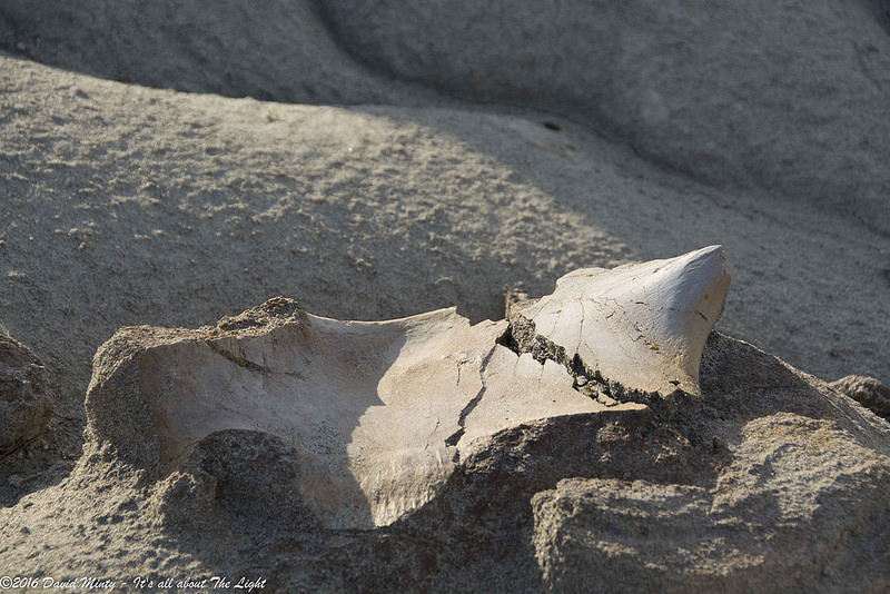 ダイナソール州立自然公園の画像8