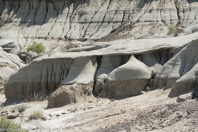 ダイナソール州立自然公園の画像15