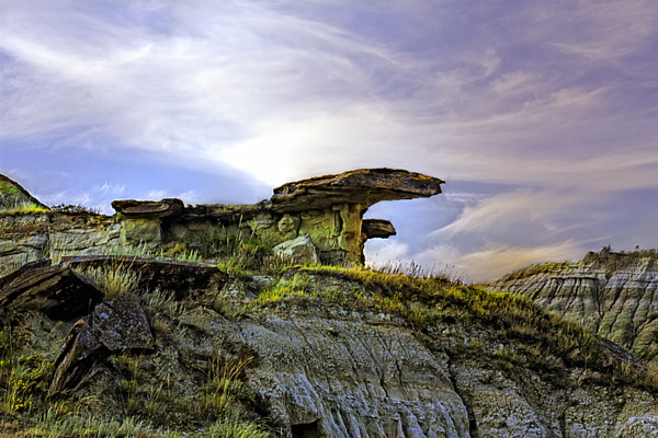 ダイナソール州立自然公園の画像18