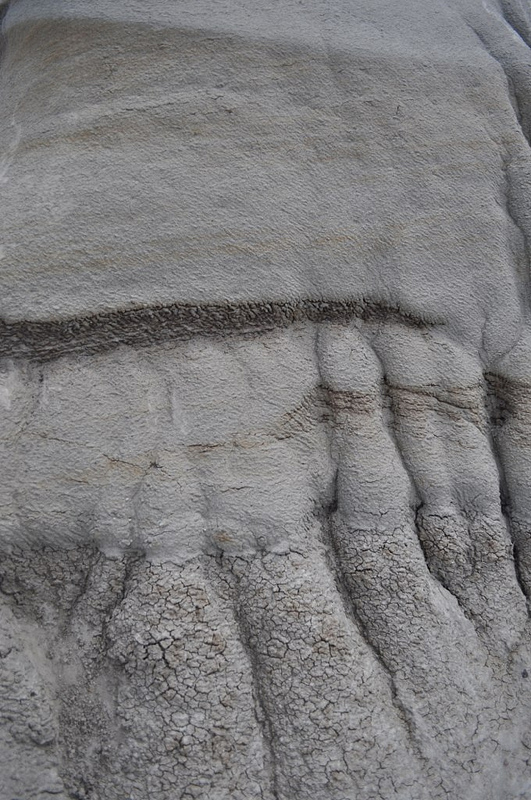 ダイナソール州立自然公園の画像21