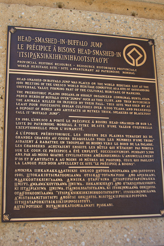 ヘッド-スマッシュト-イン・バッファロー・ジャンプの画像14