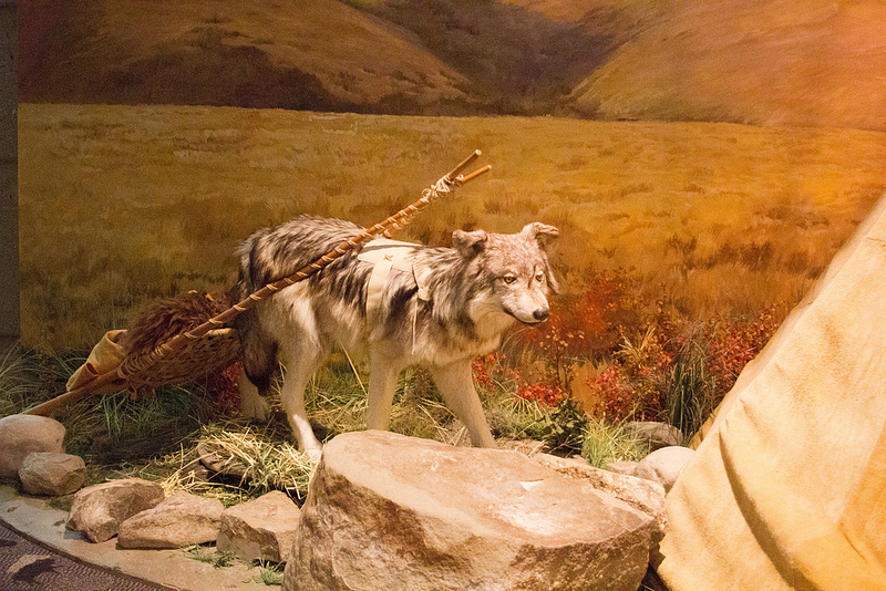 ヘッド-スマッシュト-イン・バッファロー・ジャンプの画像18