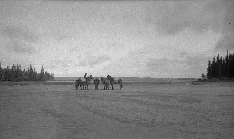 ウッド・バッファロー国立公園の画像2