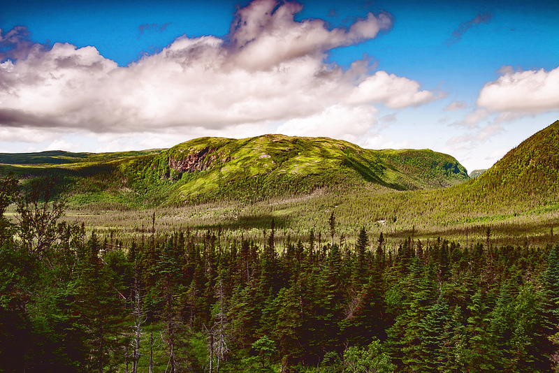 グロス・モーン国立公園の画像8