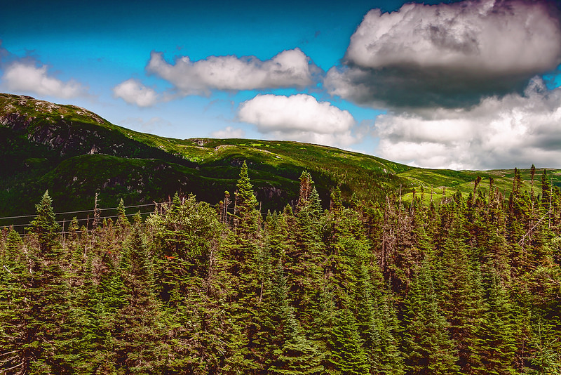 グロス・モーン国立公園の画像10