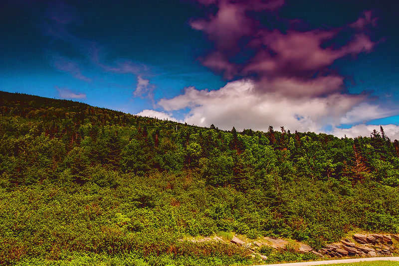 グロス・モーン国立公園の画像18