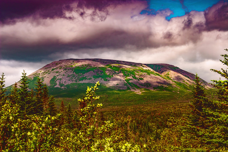グロス・モーン国立公園の画像19
