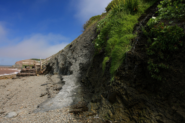 ジョギンズ化石断崖の画像1