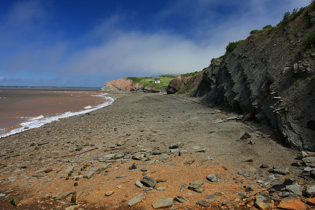 ジョギンズ化石断崖の画像3