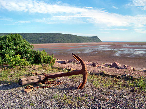 ジョギンズ化石断崖の画像6