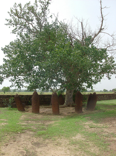 シネ・ンガエネの画像7