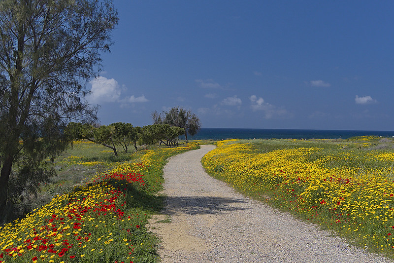 パフォスの画像26