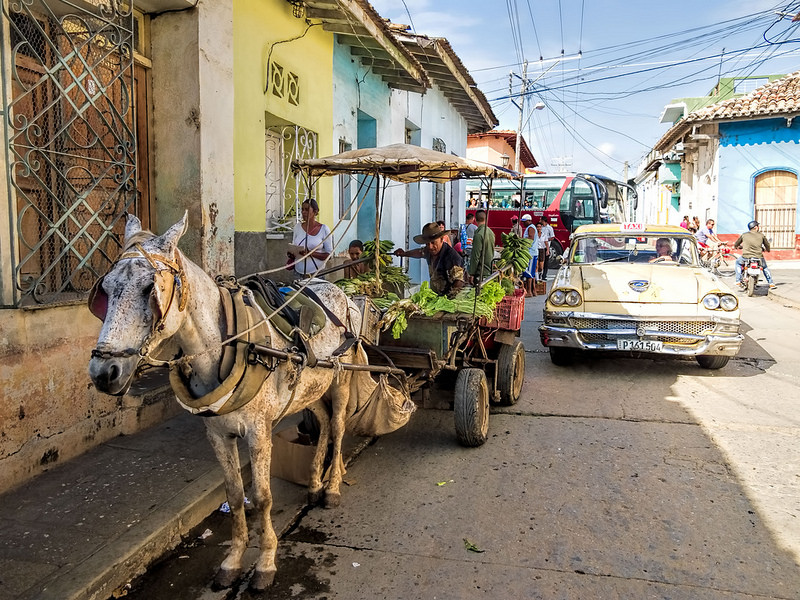 トリニダとロス・インヘニオス渓谷の画像21