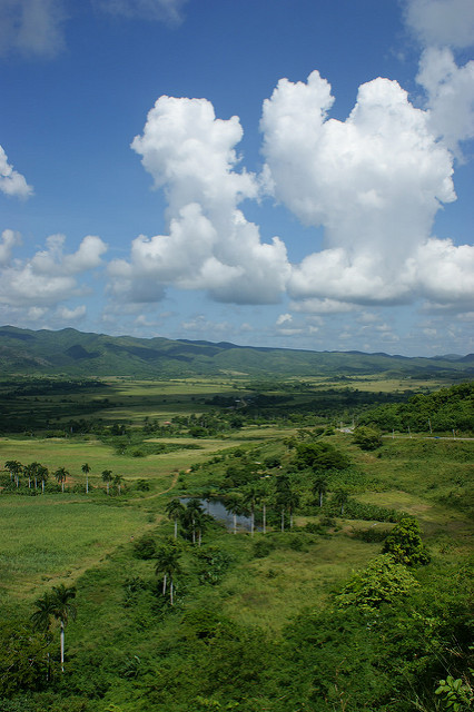 ロス・インヘニオス渓谷の画像4