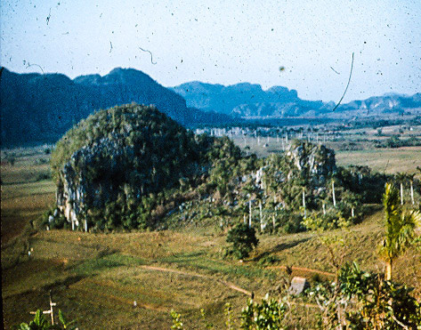 ビニャーレス渓谷の画像13