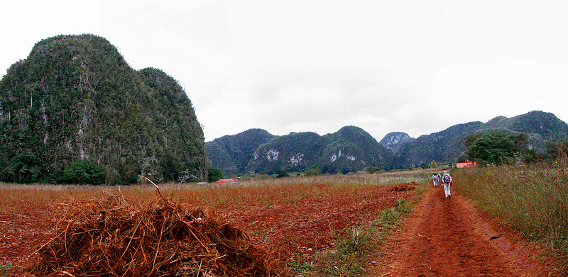 ビニャーレス渓谷の画像16