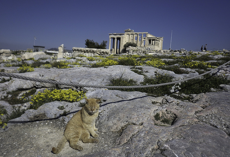アテネのアクロポリスの画像22