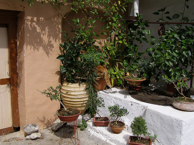 ミストラスの考古遺跡の画像11