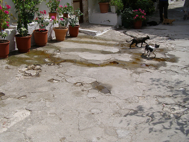 ミストラスの考古遺跡の画像19